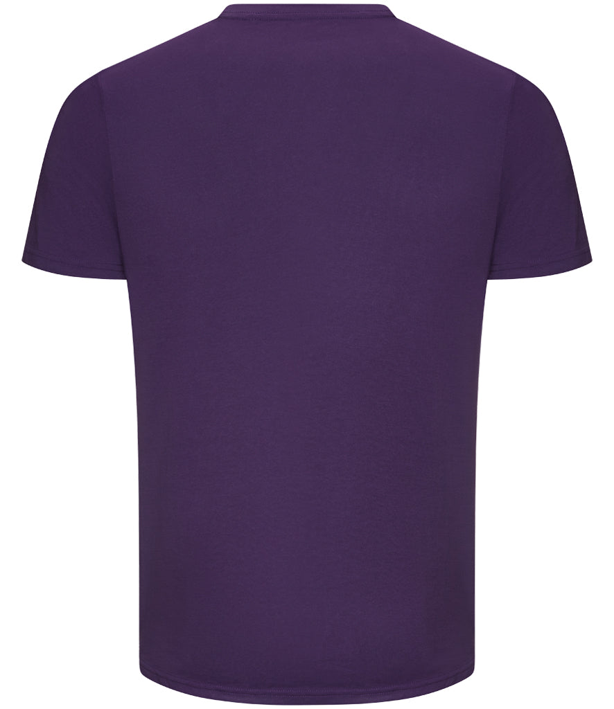 AWDis The 100 T-Shirt - JT100 Just Ts - Shades of Purple