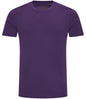 AWDis The 100 T-Shirt - JT100 Just Ts - Shades of Purple