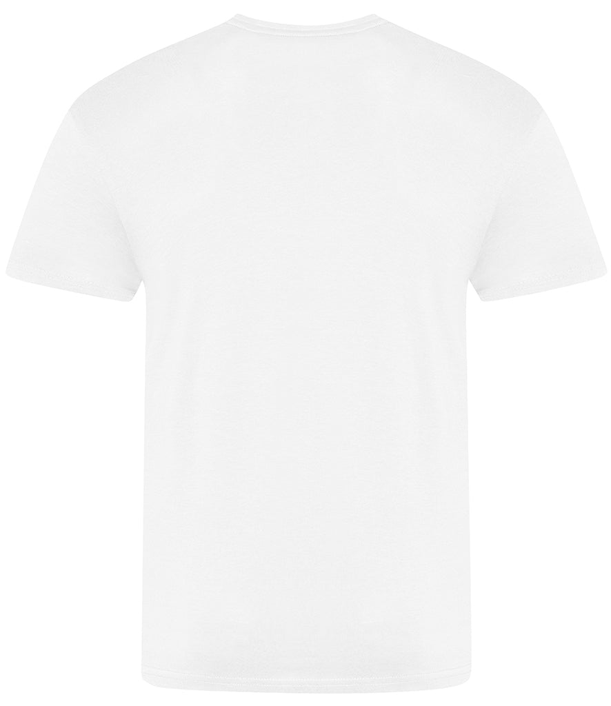 AWDis The 100 T-Shirt - JT100 Just Ts Neutral