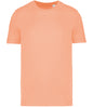 Native Spirit Unisex T-Shirt