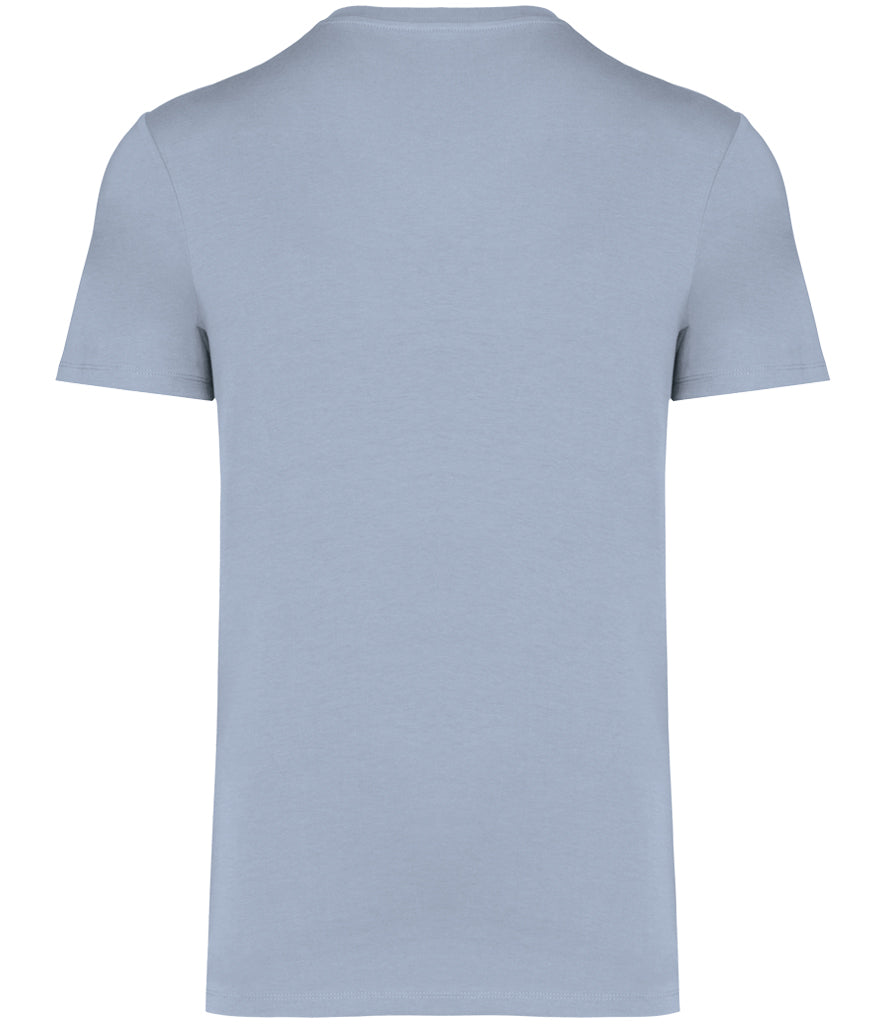 Native Spirit Unisex Heavyweight T-Shirt