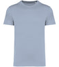 Native Spirit Unisex Heavyweight T-Shirt