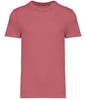Native Spirit Unisex Heavyweight T-Shirt