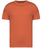 Native Spirit Unisex Heavyweight T-Shirt