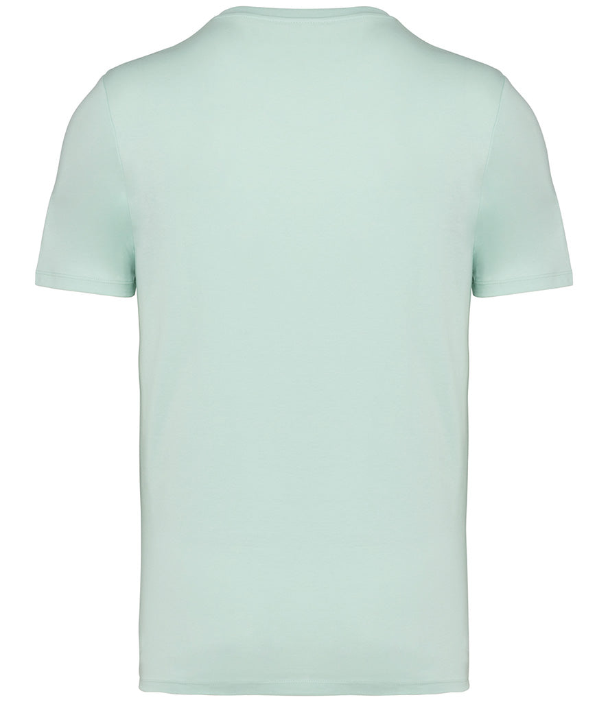 Native Spirit Unisex Heavyweight T-Shirt