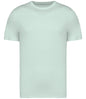 Native Spirit Unisex Heavyweight T-Shirt