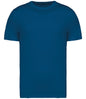 Native Spirit Unisex Heavyweight T-Shirt