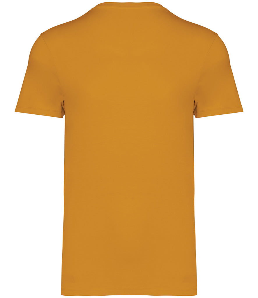 Native Spirit Unisex Heavyweight T-Shirt