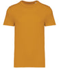 Native Spirit Unisex Heavyweight T-Shirt