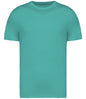 Native Spirit Unisex Heavyweight T-Shirt
