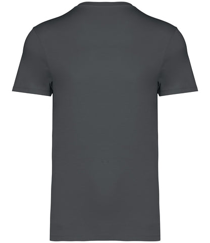 Native Spirit Unisex Heavyweight T-Shirt