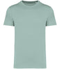 Native Spirit Unisex Heavyweight T-Shirt