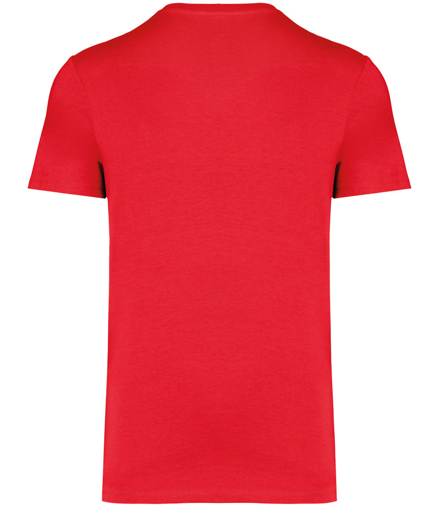 Native Spirit Unisex Heavyweight T-Shirt