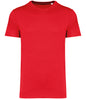 Native Spirit Unisex Heavyweight T-Shirt
