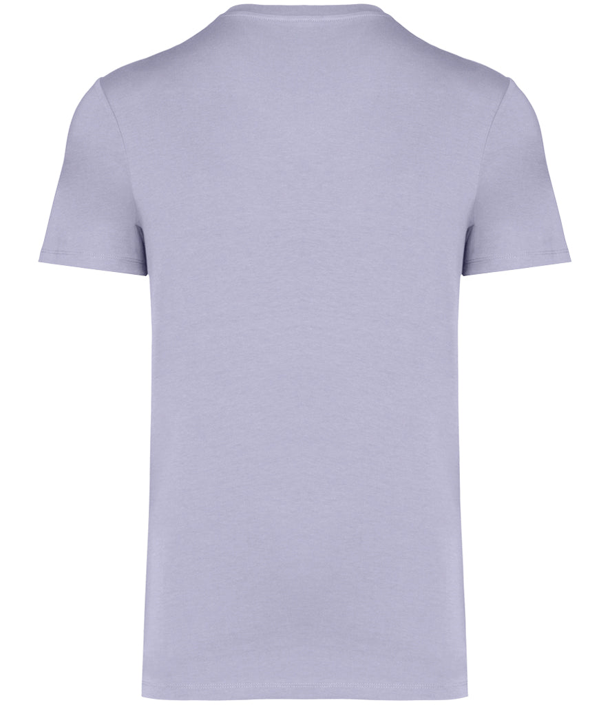 Native Spirit Unisex Heavyweight T-Shirt