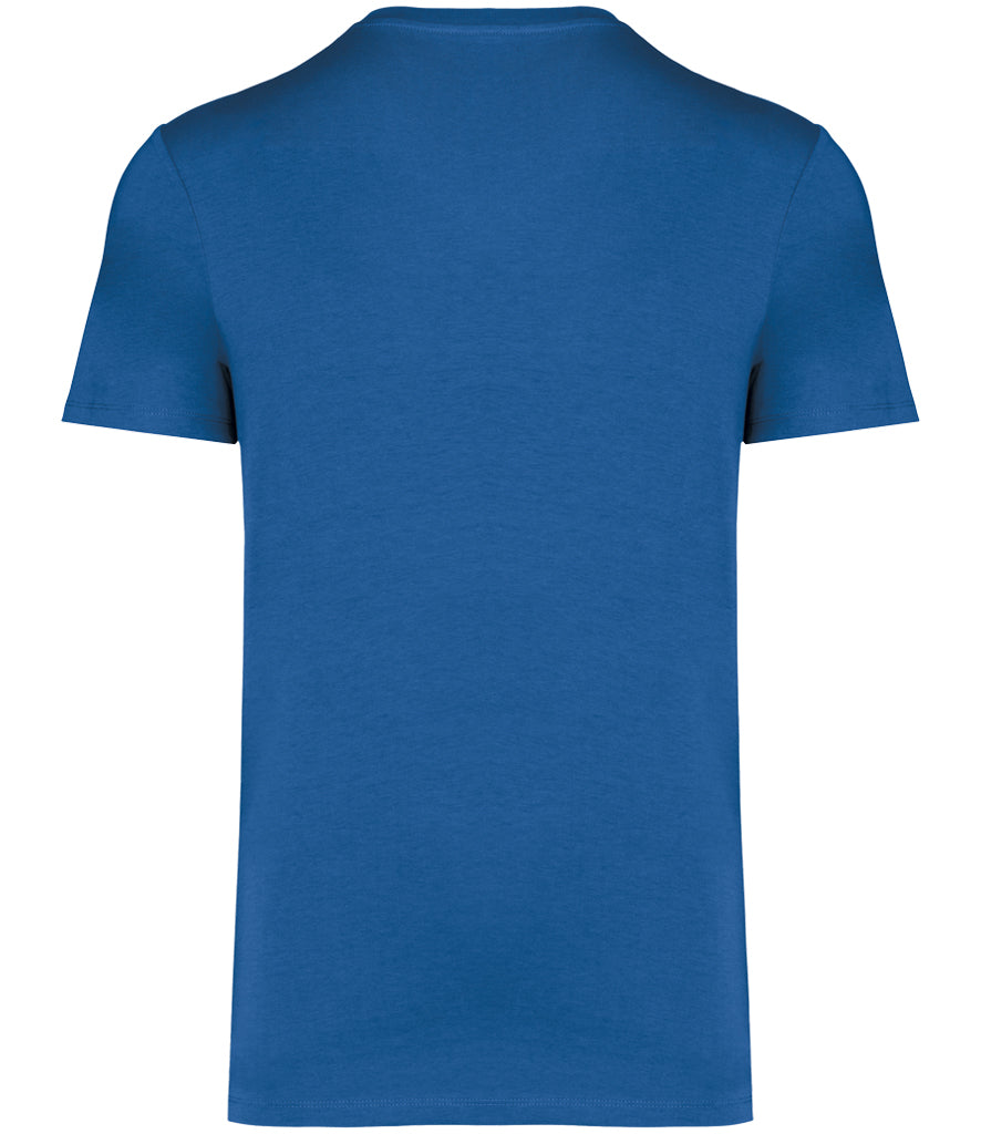 Native Spirit Unisex Heavyweight T-Shirt