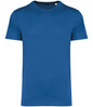 Native Spirit Unisex Heavyweight T-Shirt