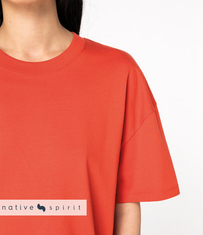 Native Spirit Ladies Oversized T-Shirt