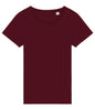 Native Spirit Ladies T-Shirt