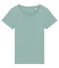 Native Spirit Ladies T-Shirt