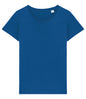 Native Spirit Ladies T-Shirt