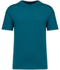 Native Spirit Unisex Oversized T-Shirt