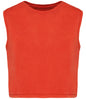 Native Spirit Ladies Cropped Tank Top