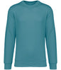 Native Spirit Unisex Crew Neck Sweatshirt