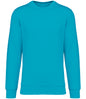 Native Spirit Unisex Crew Neck Sweatshirt