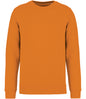 Native Spirit Unisex Crew Neck Sweatshirt