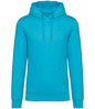 Native Spirit Unisex Heavyweight Hooded Sweatshirt