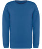Native Spirit Kids Crew Neck Sweatshirt
