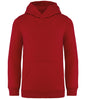 Native Spirit Kids Hooded Sweatshirt