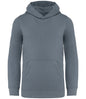 Native Spirit Kids Hooded Sweatshirt