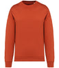 Native Spirit Unisex Oversized Sweatshirt