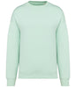Native Spirit Unisex Oversized Sweatshirt