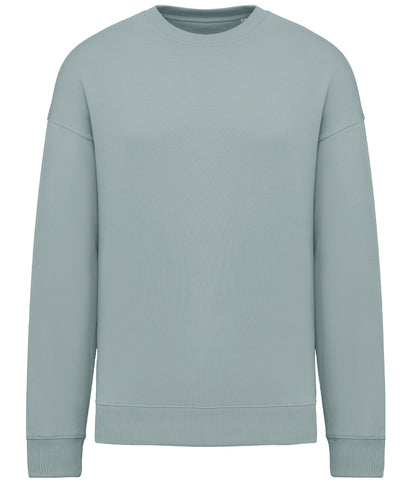 Native Spirit Unisex Oversized Sweatshirt