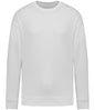 Native Spirit Unisex Oversized Sweatshirt