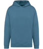 Native Spirit Unisex Oversized Hoodie