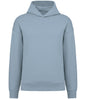Native Spirit Unisex Oversized Hoodie