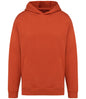 Native Spirit Unisex Oversized Hoodie