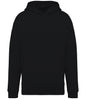 Native Spirit Unisex Oversized Hoodie