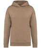 Native Spirit Unisex Oversized Hoodie