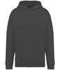 Native Spirit Unisex Oversized Hoodie