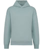 Native Spirit Unisex Oversized Hoodie