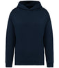 Native Spirit Unisex Oversized Hoodie