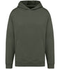 Native Spirit Unisex Oversized Hoodie
