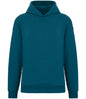Native Spirit Unisex Oversized Hoodie