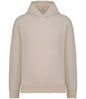 Native Spirit Unisex Oversized Hoodie