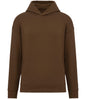 Native Spirit Unisex Oversized Hoodie